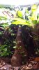 20150324_092613.jpg 20150324_092613.jpg