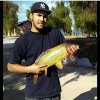 uploadfromtaptalk1428166745993.jpg