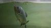 20150329_195610.jpg