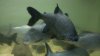 20150329_195337.jpg