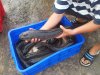 20121014_070059.jpg