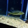 IMG_0081.JPG
