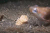 w0tcrhkezt1vy2hyzbi3.gif