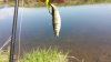 20150418_115127.jpg