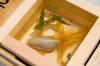fish two.jpg