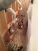 IMG_4173.jpg IMG_4173.jpg
