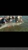 uploadfromtaptalk1430387753011.jpg