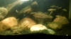 Screenshot_2015-04-30-19-31-37.png