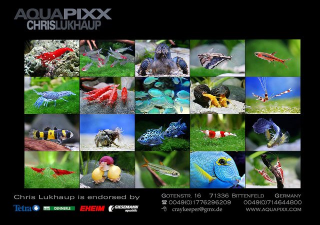 werbung Aquapixx.jpg werbung Aquapixx.jpg