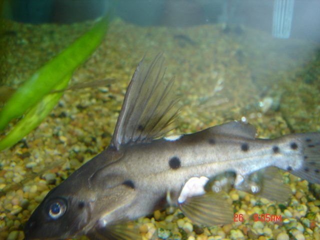 DSC01906.JPG