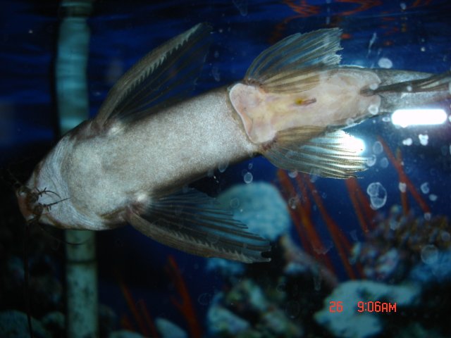 DSC01909.JPG