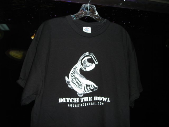 DSC05345.JPG