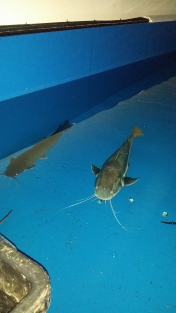 20150325_220109.jpg