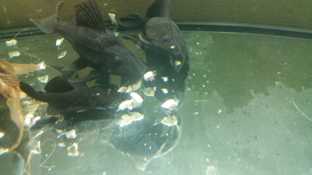 20150521_143007.jpg 20150521_143007.jpg