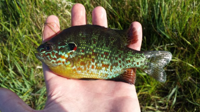 20150508_080358.jpg