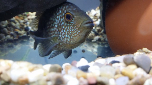 20150523_214226.jpg