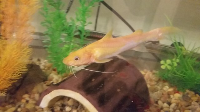 20150326_053357.jpg 20150326_053357.jpg