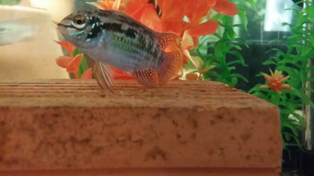 20150528_191402.jpg
