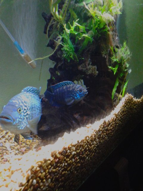 20150509_033000.jpg