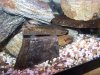 100_0474.jpg