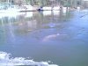031507_10561.jpg