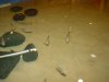 DSC07488.jpg