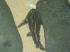 DSC07512.jpg
