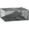 crawdad trap.jpg