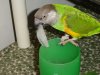 DSC00809.JPG