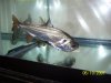 100_0717.jpg