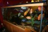 misc22007 005.jpg