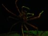 DSC01345.JPG