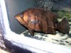 100_1363.jpg
