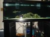 DSC01816.JPG