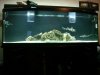 DSC01819.JPG