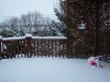 winter_1.jpg