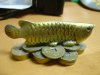 DSC05936.JPG