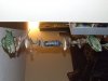 deco fish 005.jpg