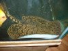 stingrays 007.jpg stingrays 007.jpg