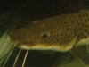 DSC01089.JPG