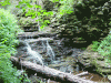 Fall-5.gif