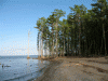 Neuse-Beach.gif