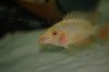 DSC_0107.JPG