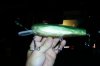 Lure 7.jpg