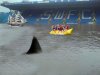 swfc.jpg