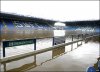 swfc1.jpg