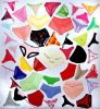 panties.bmp.jpg