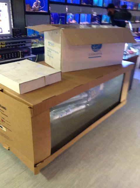 300gallon 8:03:15 1.JPG