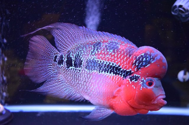test1.jpg