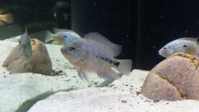 20150604_141447.jpg